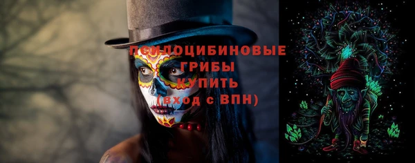 молекула духа Балахна