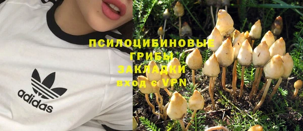 не бодяженный Армянск