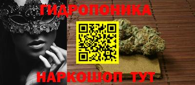 дмт Гусев