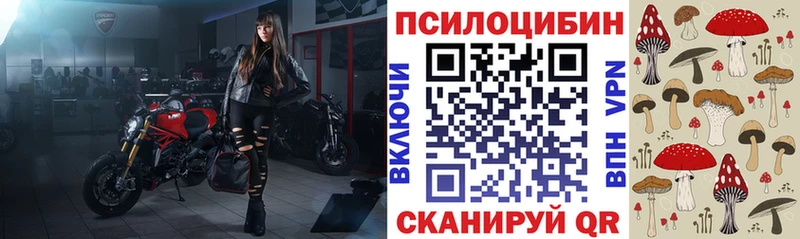 Псилоцибиновые грибы Psilocybe  хочу наркоту  Каспийск 