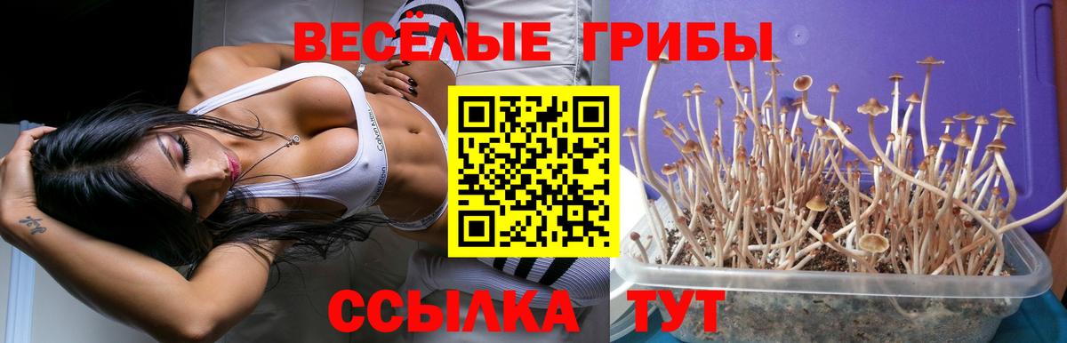 Псилоцибиновые грибы Magic Shrooms  Вход с VPN  Каспийск 
